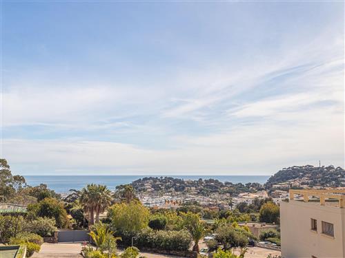 Ferielejlighed - 5 personer -  - Cavalaire - 83240