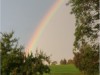 Image 23