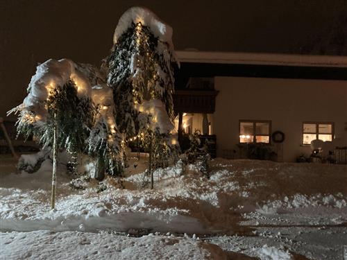 Ferielejlighed - 2 personer -  - Wiesengrund - 6781 - Bartholomäberg