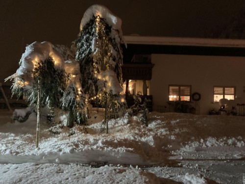 Ferielejlighed - 2 personer -  - Wiesengrund - 6781 - Bartholomäberg