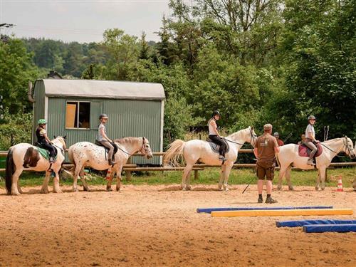 Ferieleilighet - 4 personer -  - Hauptstraße - 54636 - Wißmannsdorf