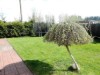 Bild 20