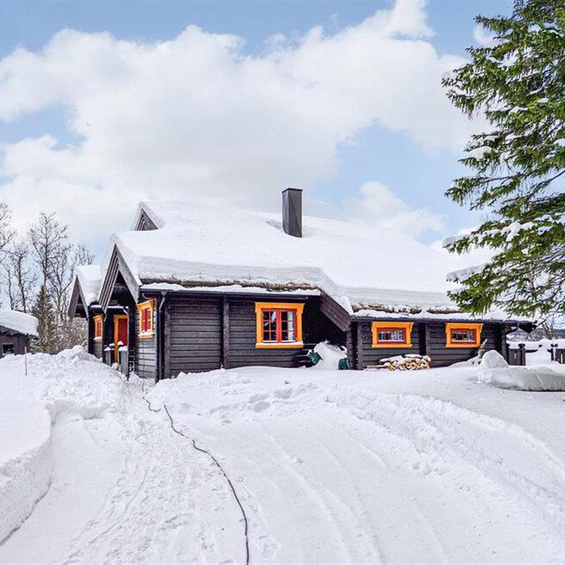 Sommerhus - 8 personer -  - Tjønnvollvegen - 7590 - Tydal