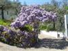 Bild 12 - Aussen