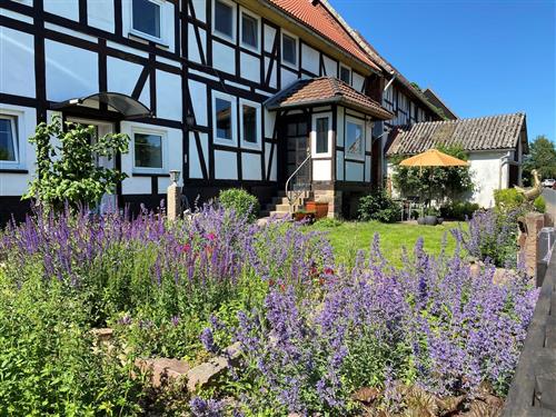 Ferielejlighed - 4 personer -  - Vor den Weingaerten - 37194 - Bodenfelde