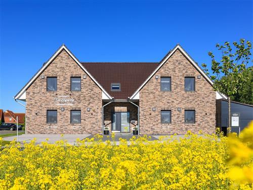 Ferienwohnung - 5 Personen -  - Am Schlafdeich - 26409 - Carolinensiel-Harlesiel