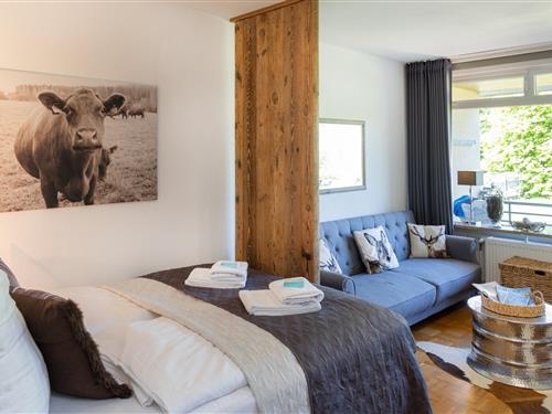 Ferielejlighed - 3 personer -  - Hoher Weg - 37444 - Sankt Andreasberg