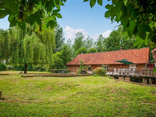 Sommerhus - 8 personer -  - impasse de la Pisciculture - 62890 - Clerques