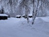 Billede 11 - Ude