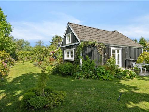 Feriehus - 4 personer -  - Brøndsholmvej - 3210 - Vejby