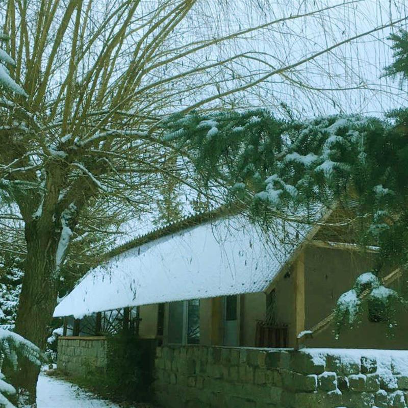 Ferielejlighed - 2 personer -  - Kamerun - 17375 - Hoppenwalde