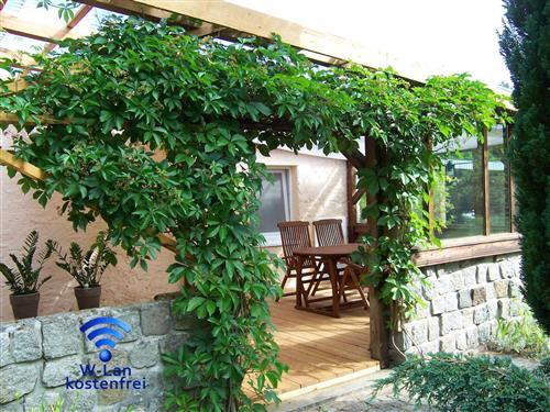 Holiday apartment - 2 persons -  - Kamerun - 17375 - Hoppenwalde