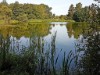 Bild 20 - Blick über's Wasser