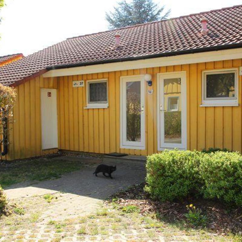 Sommerhus - 4 personer -  - Walter-Gotsmann-Straße - 17252 - Mirow