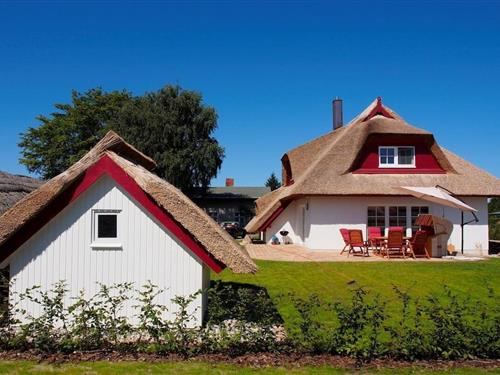 Fritidshus - 6 personer -  - 17459 - Zempin