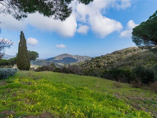 Semesterhus/Semesterlägenhet - 5 personer -  - Località Campo al Pero Campo al Pero - 57039 - Rio Dell'elba