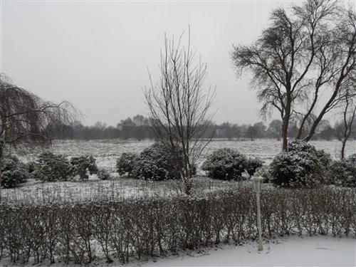 Ferielejlighed - 5 personer -  - Birkenweg - 26316 - Varel / Rallenbüschen