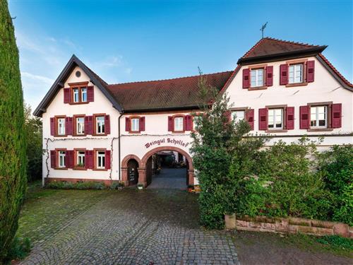 Ferielejlighed - 2 personer -  - Alte Kirchstraße - 76831 - Birkweiler