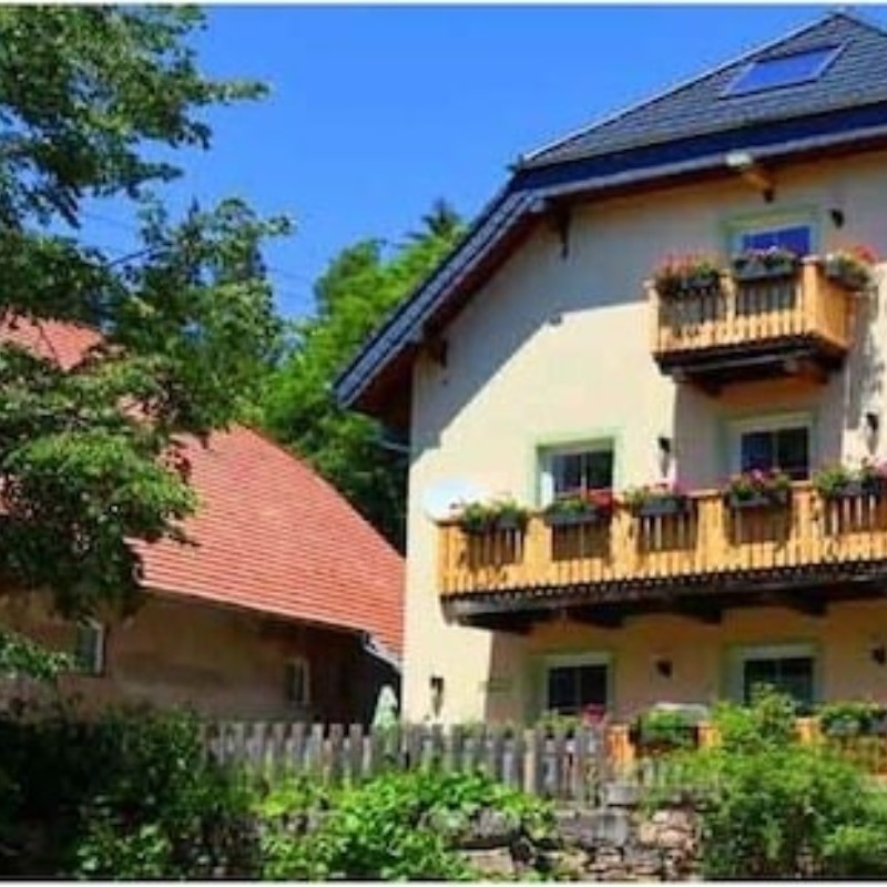 Sommerhus - 14 personer -  - 79843 - Löffingen