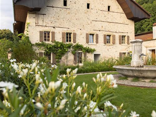 Holiday apartment - 2 persons -  - Château de Marnand - 1524 - Marnand