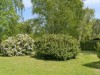 Billede 26 - Grund