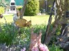 Bild 16