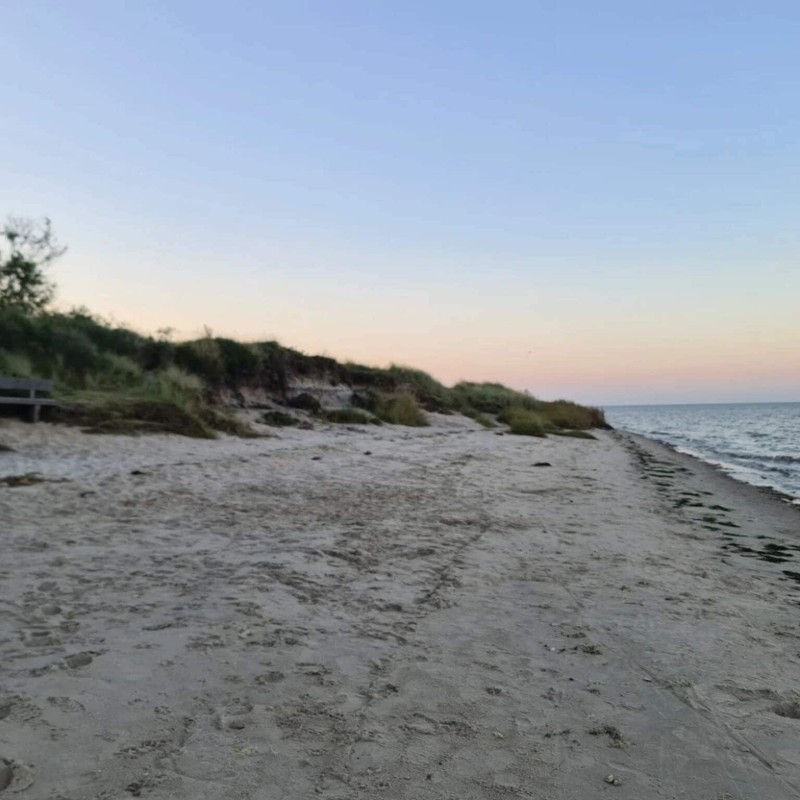 Ferienhaus - 6 Personen -  - Vestergade 239 (lejl. - Havneby - 6792 - Römö