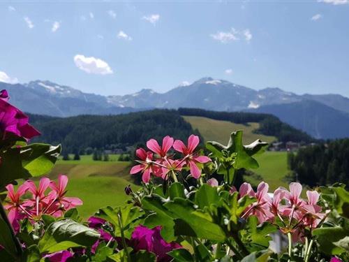 Sommerhus - 8 personer -  - 6441 - Umhausen