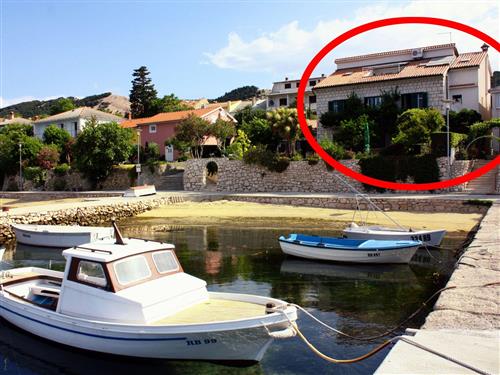 Ferielejlighed - 6 personer -  - Barbat - 51280 - Rab