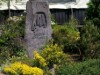 Image 25