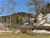 Bilde 5 - Ude