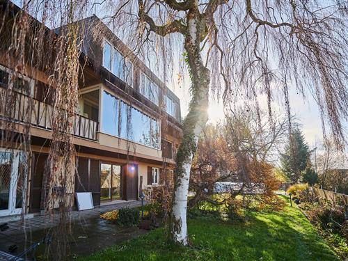 Feriehus - 11 personer -  - Altdorfstraße - 88250 - Weingarten