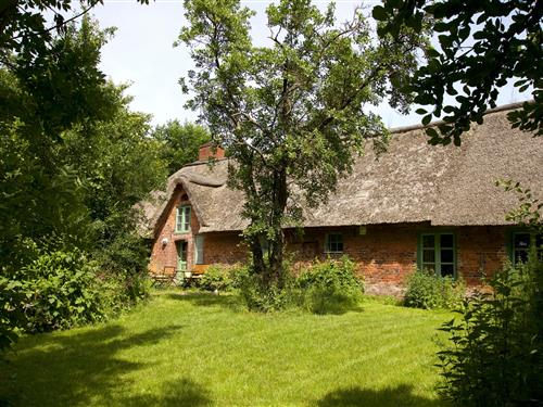 Ferienhaus - 5 Personen -  - Süden - 25889 - Witzwort