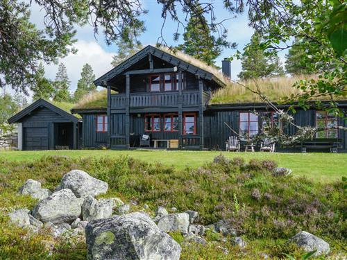 Sommerhus - 10 personer -  - Renåfjellveien - Renåfjellet, Rendalen - 2485 - Rendalen
