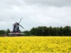 Bild 32
