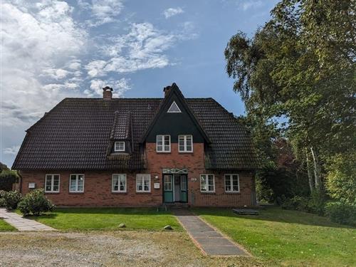 Semesterhus/Semesterlägenhet - 4 personer -  - Haus - 25938 - Oldsum