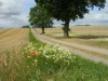 Bild 36