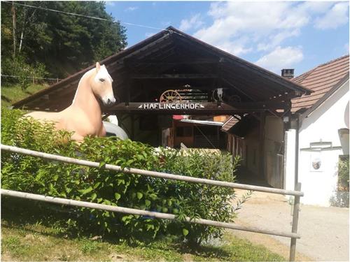 Semesterhus/Semesterlägenhet - 4 personer -  - Leitenviertel - 2853 - Bad Schönau