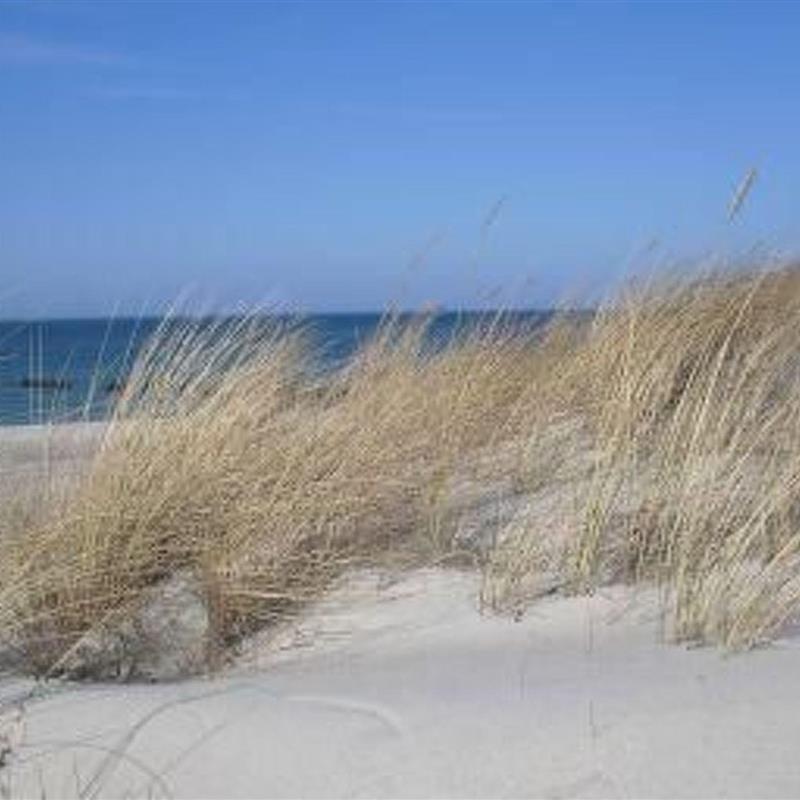 Ferielejlighed - 2 personer -  - Graal Müritz - 18181