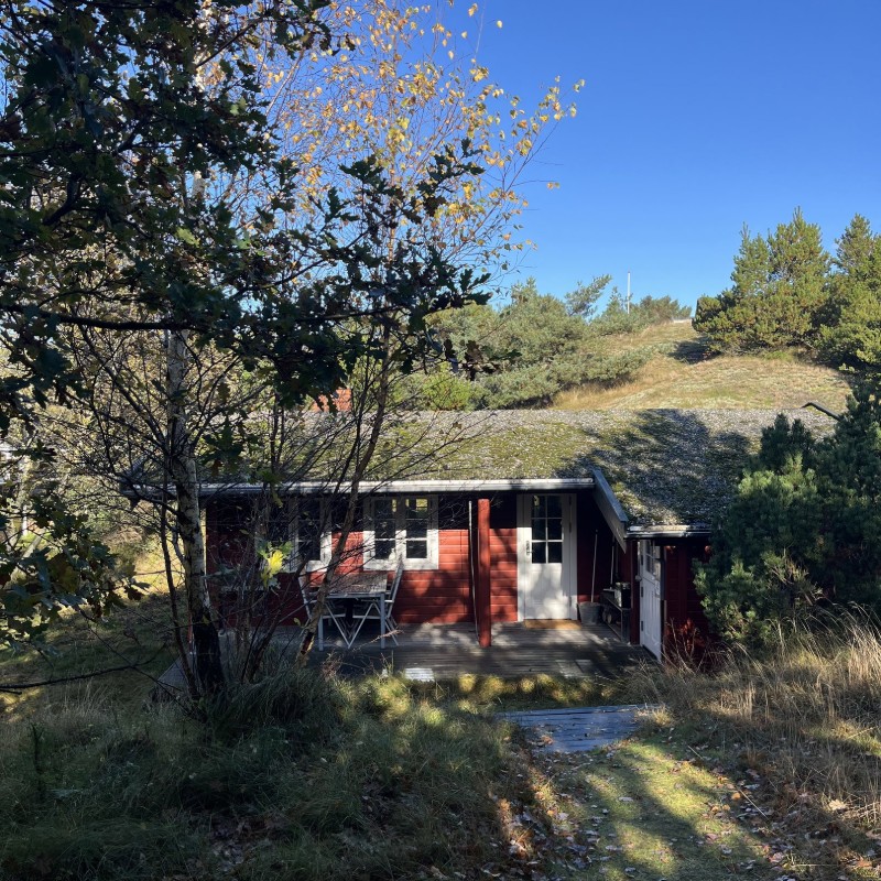 Ferienhaus - 4 Personen -  - Ved Skoven - 6720 - Fanö