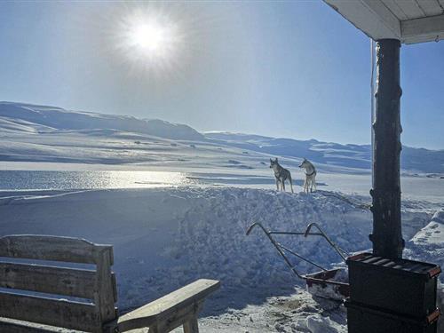 Fritidshus - 6 personer -  - Tyinosvegen - Årdal - 6884 - Øvre Årdal