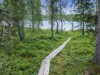 Bild 24 - Inde
