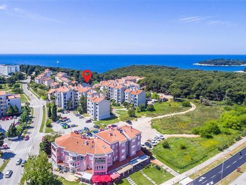 Holiday Home/Apartment - 5 persons -  - Gortanova - 52100 - Pula