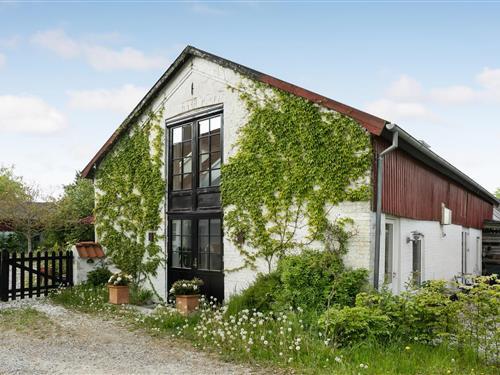 Holiday Home/Apartment - 5 persons -  - Marienhoffvej - Ryomgaard - 8550 - Ryomgård