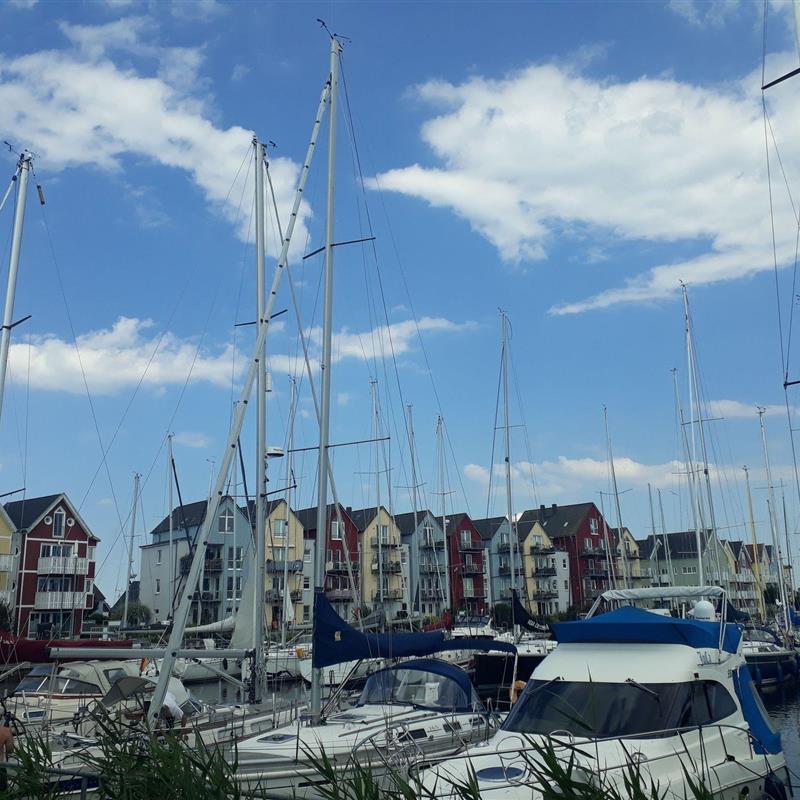 Ferielejlighed - 4 personer -  - Holzteichstraße - 17489 - Greifswald