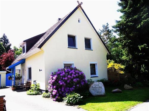 Holiday Home/Apartment - 4 persons -  - Ebbingen - 29664 - Walsrode-Ebbingen