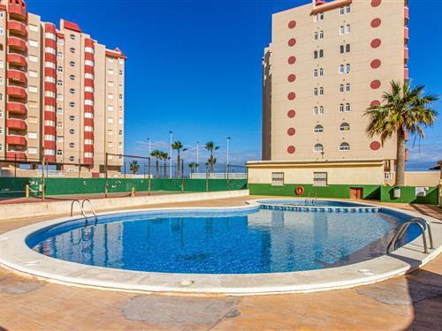 Sommerhus - 4 personer -  - Calle Oasis-Pl G - La Manga Del Mar Menor - 30380 - San Javier