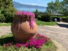Bild 3 - Ude