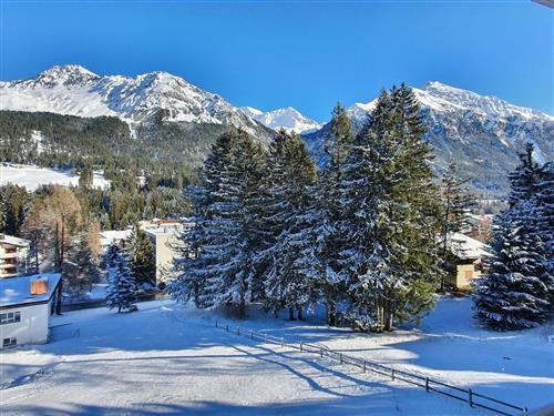 Holiday apartment - 4 persons -  - Lenzerheide - 7078