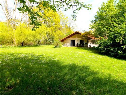 Ferienhaus - 6 Personen -  - Am Wald 1 - 18233 - Teßmannsdorf